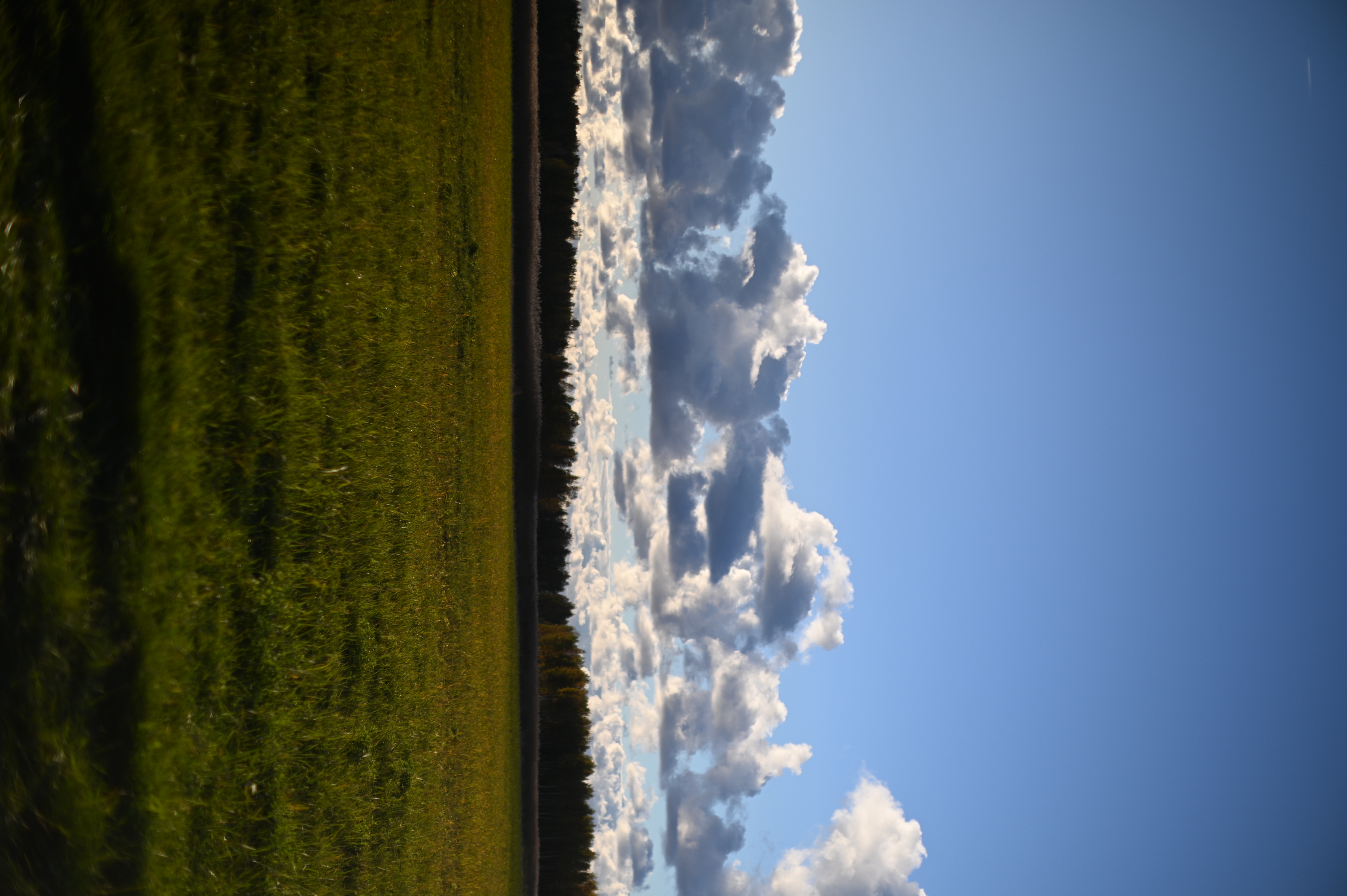 2025/10/18 - walk/DSC_0173.JPG